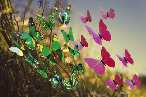 3D Wall Stickers, 3D Removable Butterfly Stickers