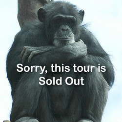 2025 -  VIP Tour - Chimp - April 5 (Sold Out)