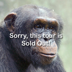 2025 -  VIP Tour -  Chimp - June 7 (Sold Out)