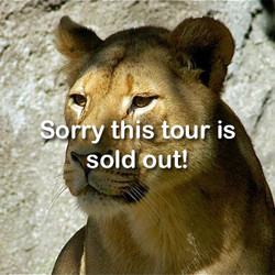 2025 -  VIP Tour - Lion - Jul 19-(Sold Out)