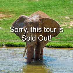 2025 - VIP Tour - Elephant -June 21 (Sold Out)