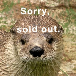 2025 - VIP Tour - Otter - July 19 -sold out