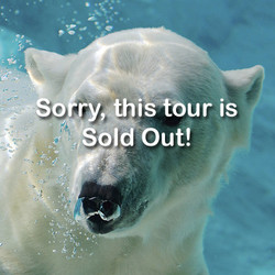 2025 VIP - Rocky Coast (Family) - March 22 (Sold Out)