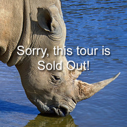 2025 - VIP - Rhino Tour - October 18 (Sold Out)