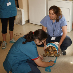 2025-Shadow a Veterinarian for a Day - October
