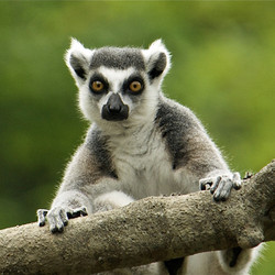 61 - Zookeeper Membership: Two-Years