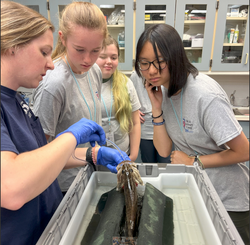 109 - Tuition Balance-Senior Vet Camp