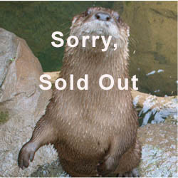 2026 - Private Meet and Feed an Otter