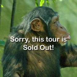 2026 - VIP Chimp -June 6. (Sold Out)