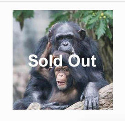 2026 - VIP Chimp - October 17 (sold out)