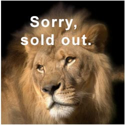 2026  -  VIP - Lion -July 18 (Sold Out)