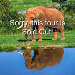 VIP Tour - Elephant - April 18, 2026 (Sold Out)