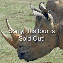 2026 - VIP - Rhino Tour - April 18 (Sold Out)