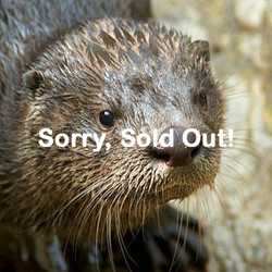2026 - VIP Tour - Otter - October 26 (Only 2 Tickets left)