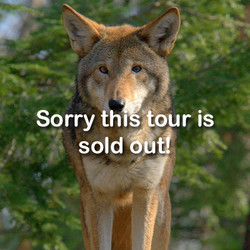 2026 - VIP Tour - Wolf Howl- March 28 (Sold Out)