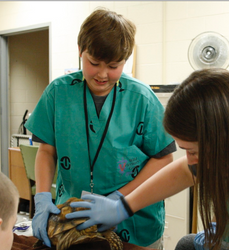 109-2026 Junior Vet Camp - Deposit and Tuition