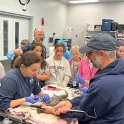 2026 Junior Vet Camp - Tuition