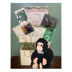 Chimply Making Spirits Bright
