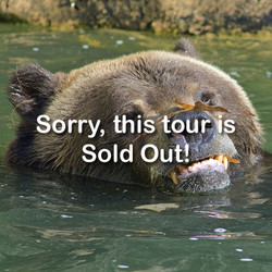 VIP Tour - Bears - April 1, 2023 Sold Out