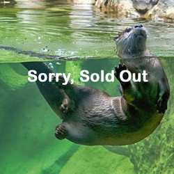 VIP Tour - Otter - May 18, 2024 (sold out)
