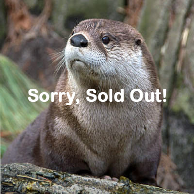 VIP Tour Otter July 20 2024 Sold Out NC Zoo Society   Otter 11 Soldout  36507.1703424071.400.400 