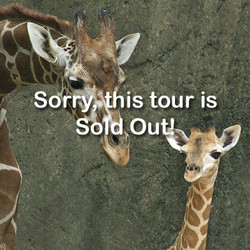 VIP Tour - Giraffe - April 6, 2024 (sold out)