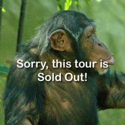VIP Tour - Chimp - August 10, 2024( sold out)