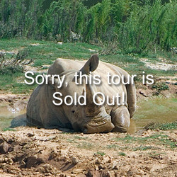 VIP Tour - Rhino - June 8, 2024