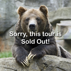 VIP Tour - Black/Grizzly Bears - April 27, 2024 (sold out)
