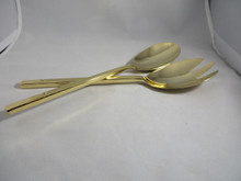 Kyoto Gold Shiny Salad  Set
