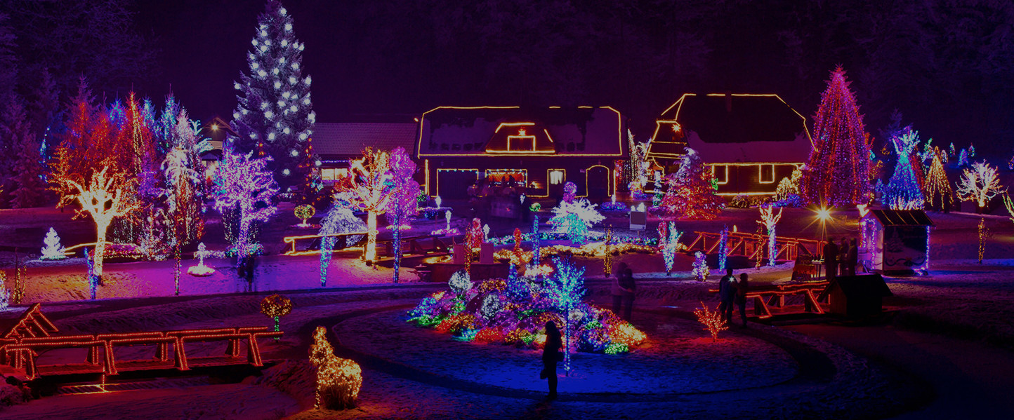 Outdoor Led Christmas And Holiday Decorations Christmas Cottage