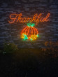 Vibrant pumpkin light display on a wall.