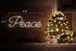 White LED light display of the word peace with dimensions 6'8" by 2'4"