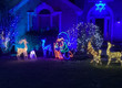 Light displays of animals in a yard.