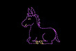 Light display of a donkey