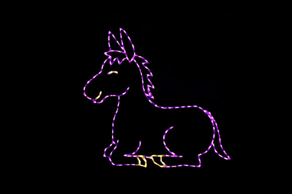 Light display of a donkey