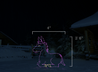 Scaled image of a donkey light display.