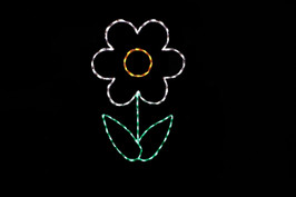 Flower White