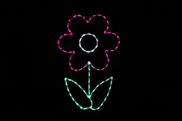 Flower Pink