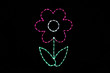 Light display of a pink flower.