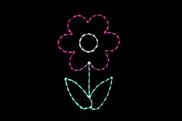 Light display of a pink flower.
