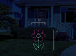 Scaled image of a light display of a pink flower.