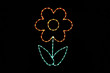 Light display of an orange flower.