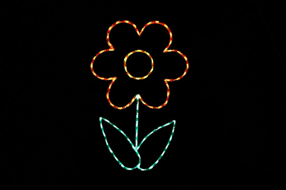 Light display of an orange flower.