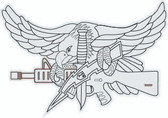 SWAT Eagle Light Sticker