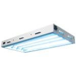 Sun Blaze T5 HO 24 - 2 ft 4 Lamp