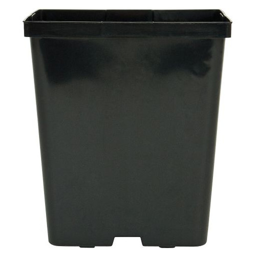 Kord Square Pot Black, 5.5"