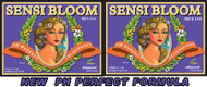 Ph Perfect Sensi Bloom A+B 1L