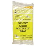 Sticky Whitefly Trap 5 Pack