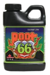 Root 66 250 ml